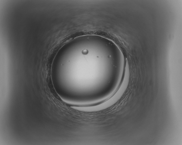 X0000112171157200908141300