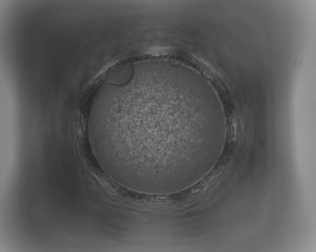 X0000112171158200908141300