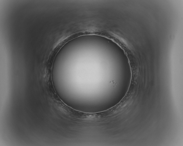 X0000112171160200908141300