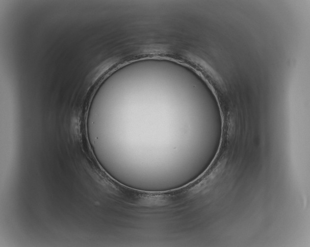 X0000112171162200908141300