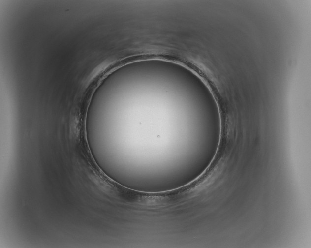 X0000112171163200908141300