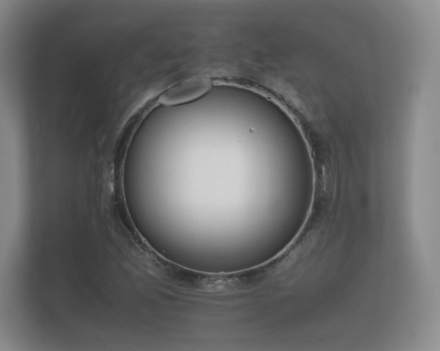 X0000112171165200908141300