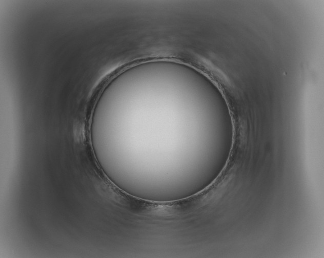 X0000112171166200908141300