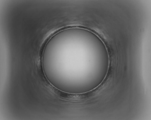 X0000112171167200908141300