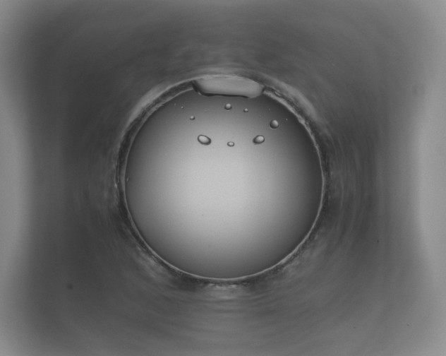 X0000112171168200908141300