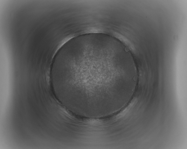 X0000112171170200908141300