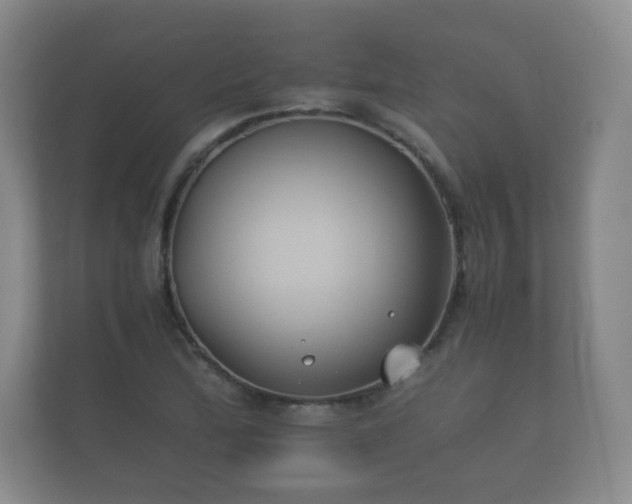 X0000112171172200908141300