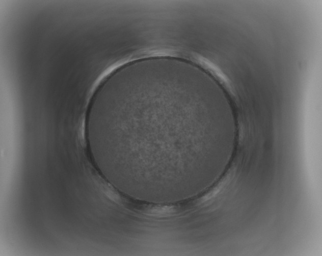 X0000112171174200908141300