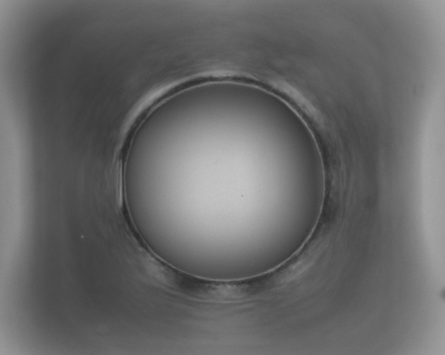 X0000112171175200908141300