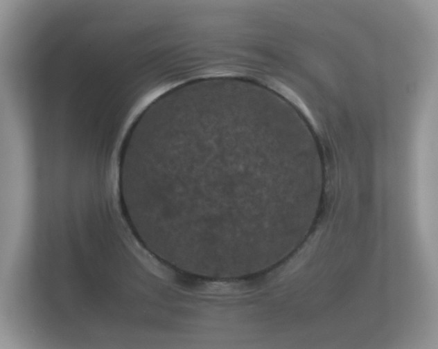 X0000112171179200908141300