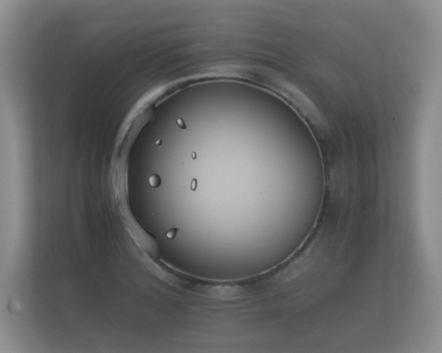 X0000112171180200908141300