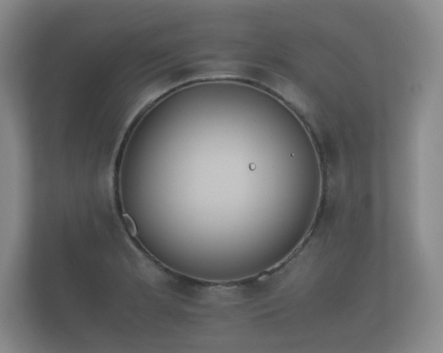 X0000112171181200908141300