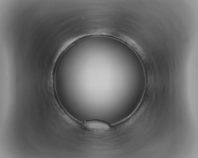 X0000112171184200908141259