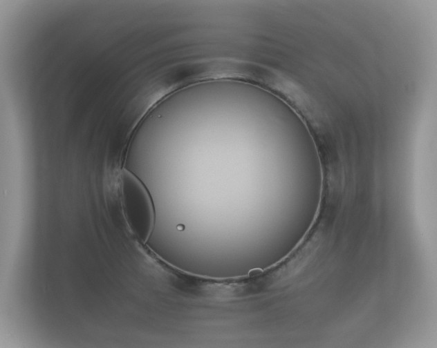 X0000112171185200908141259