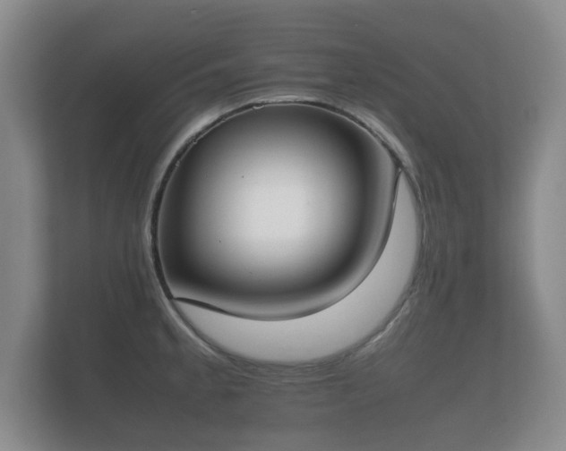 X0000112171189200908141259