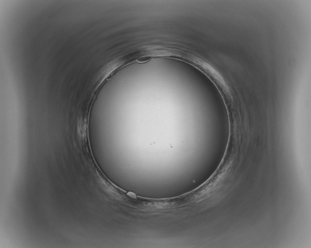 X0000112171193200908141259