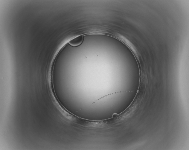 X0000112171195200908141259