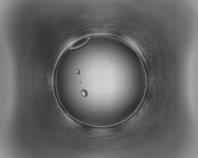 X0000112171197200908141259