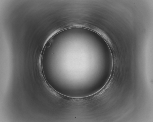 X0000112171198200908141259