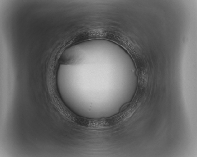 X0000112171201200908141259