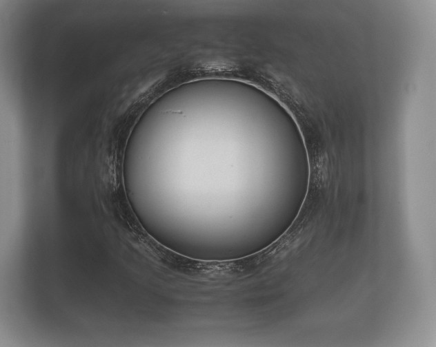 X0000112171205200908141259