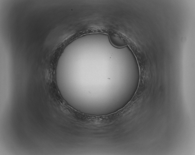 X0000112171207200908141259