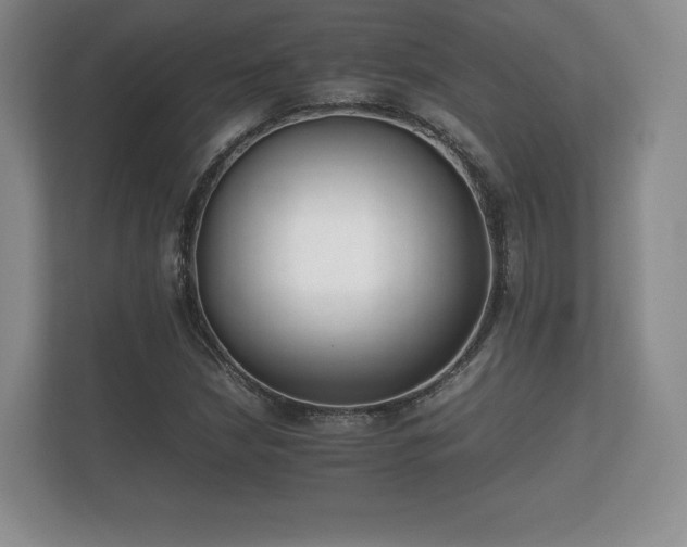 X0000112171210200908141259