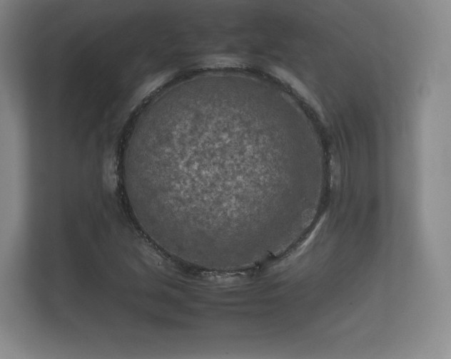 X0000112171213200908141259