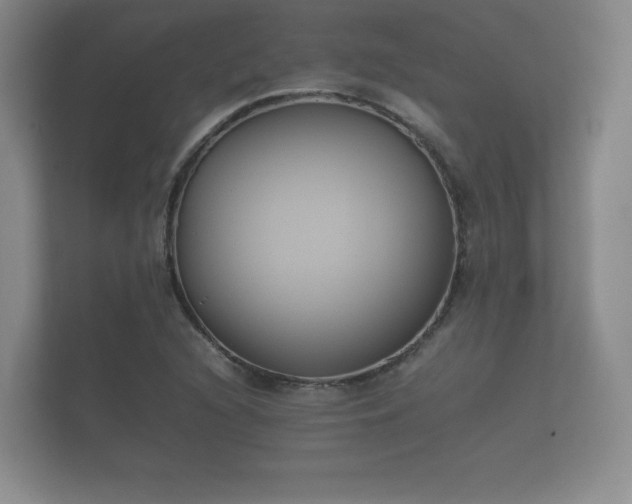 X0000112171216200908141259