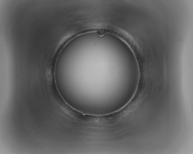 X0000112171218200908141259