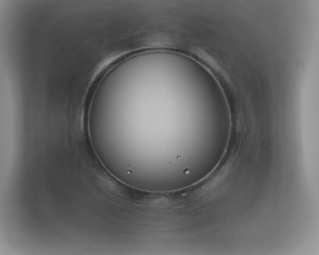 X0000112171222200908141259