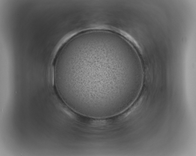 X0000112171223200908141259