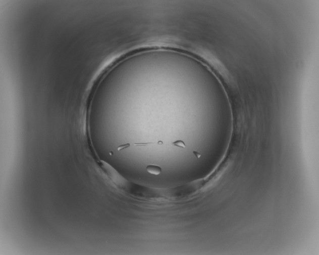 X0000112171224200908141259