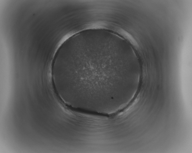 X0000112171226200908141259