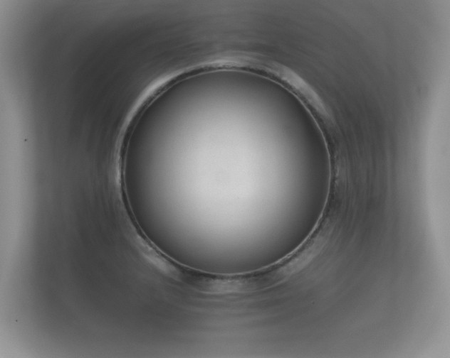 X0000112171232200908141259