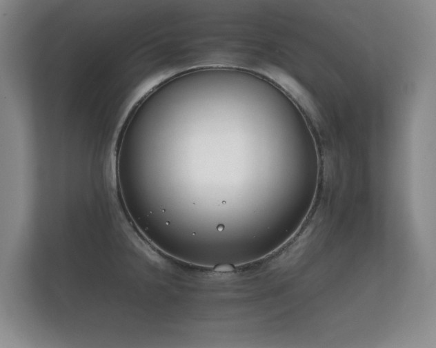 X0000112171238200908141259