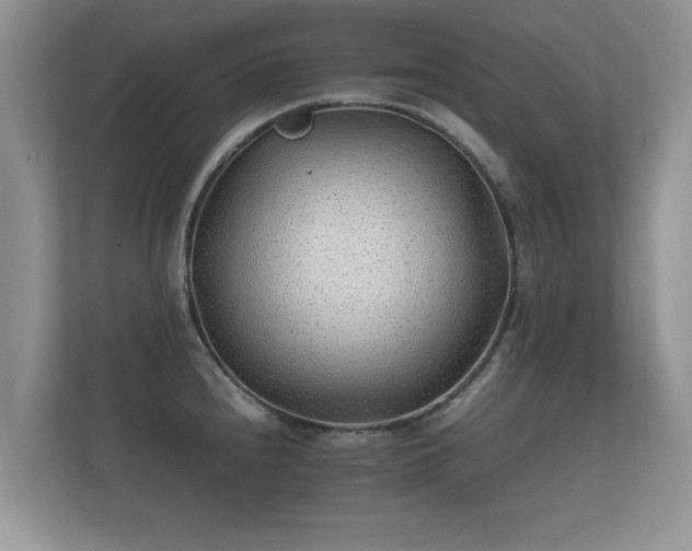 X0000112171240200908141259