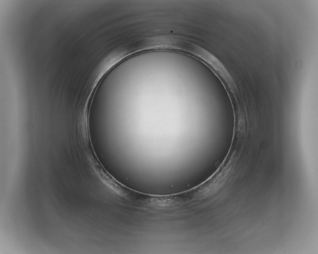 X0000112171242200908141259