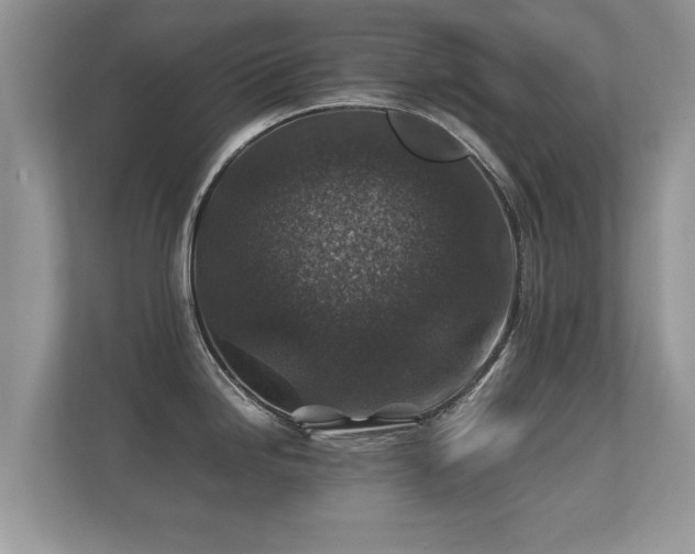 X0000112171246200908141259