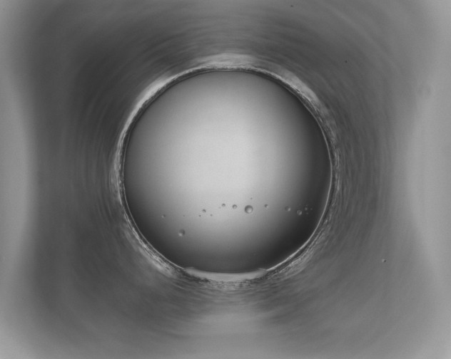 X0000112171248200908141259