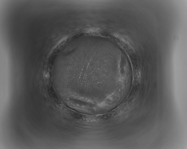 X0000112171254200908141259