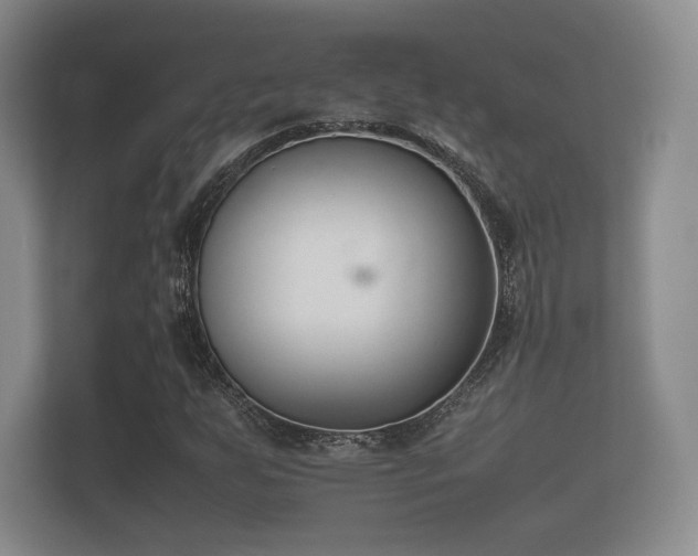 X0000112171255200908141259