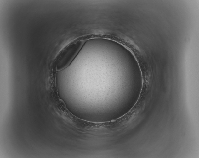 X0000112171256200908141259