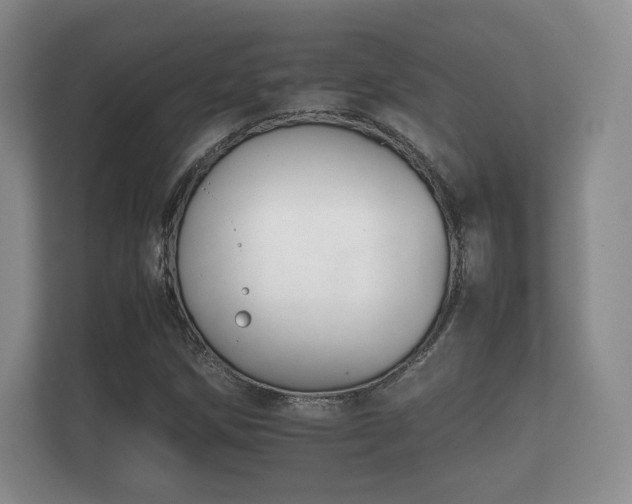 X0000112171258200908141259