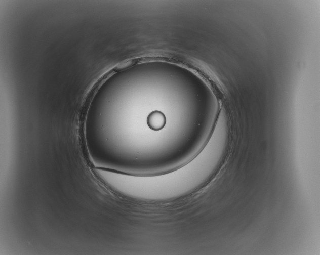 X0000112171260200908141258