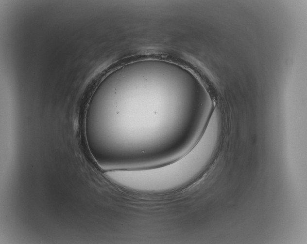 X0000112171261200908141258