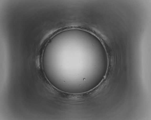 X0000112171262200908141258