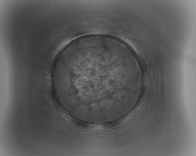 X0000112171263200908141258