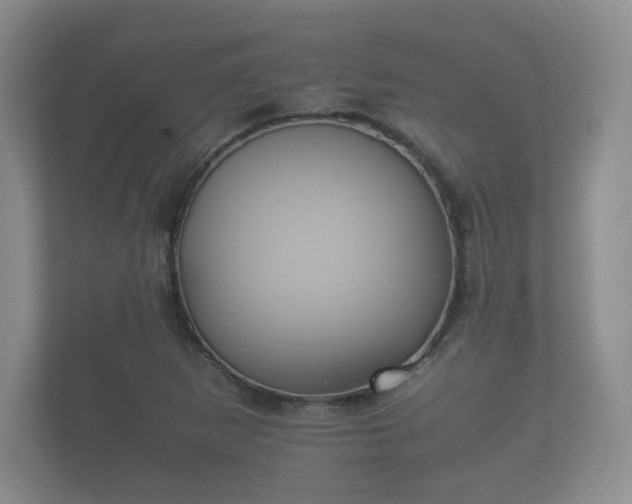 X0000112171265200908141258