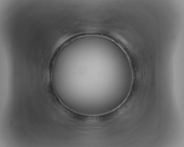 X0000112171267200908141258